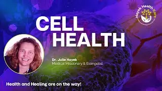 The Truth About Inflammation, Obesity, and Chronic Disease