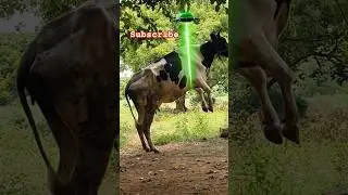 Best AI video Trending short term #song #farming #அதிகாரம்2 TVK TROLL TMK NTK ADMK