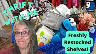 They Just Restocked the Shelves at This Goodwill - Thrift With Me