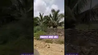 Y117 | Dwarka के Windmills इतने बड़े क्यों होते हैं? Gujarat Coast का Wind Power Secret