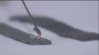 A water-repellent coating - hi-tech