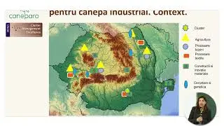 Harta cultivării și procesării c&acirc;nepei &icirc;n Rom&acirc;nia, Cluster Caneparo