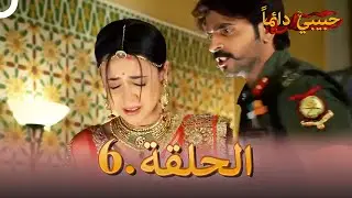 حبيبي دائماً الحلقة 6 | Rangrasiya