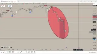 POV:i tweeted the biggest drop in TRADING INDUSTRY [SILVER]