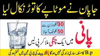 Rumi Quotes in urdu | Sunheri Haroof | Achi Batein | Heart Touching Quotes