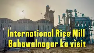  International Rice Mill Bahawalnagar🌾 #riceexport #ricemarket #1509 #basmatirice #business 