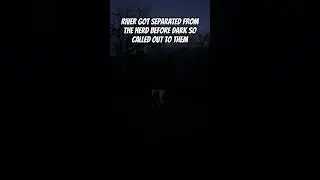 Horse sounds #pony #horse #animals