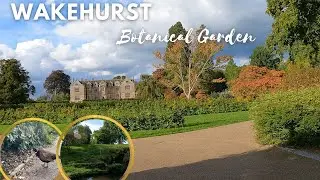 Autumn walk in Wakehurst Garden | Kew garden #england #tourism #autumn