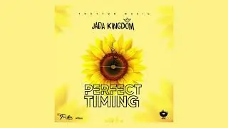 Perfect Timing Riddim Mix Jada Kingdom,Dyani,Jah Vinci  (Troyton Music)