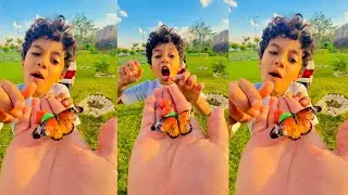 الفراشة الشقية ‏ ‏مسبتناش في التصوير خالص😳😳😳😳