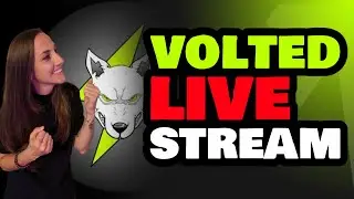 VOLTED STREAM -SPACE CABIN