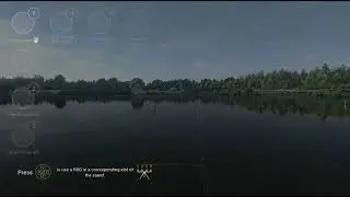 How to catch Trophy Mirror Carp at Weeping Willow 