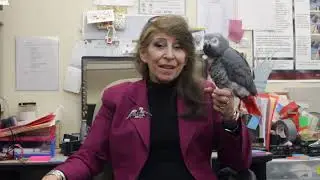 Irene Pepperberg Interview 2 - Surprising Findings