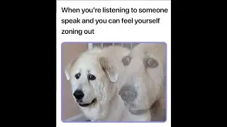 😂 BEST MEMES COMPILATION UNUSUAL MEMES V63