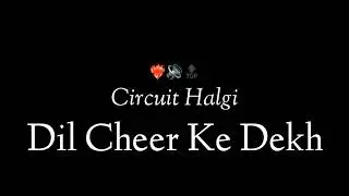 Dil Cheer Ke Dekh -(Circuit Halgi)- It's OmkarStyle Remix #officialaudio