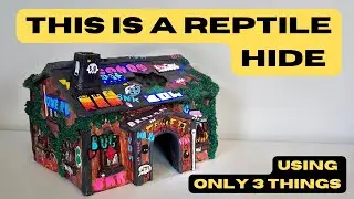 DIY Reptile Hide | FULL PROCESS