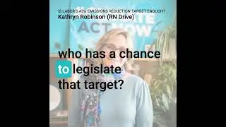Is Labor's 43% emissions reduction target enough? Zali Steggall on RN Drive