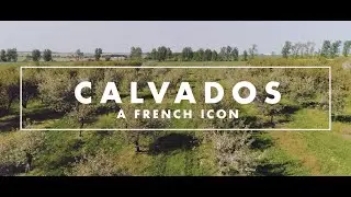 Calvados takes off on Air France&rsquo;s long-haul flights.