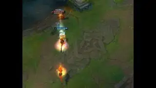 My first lee sin Chinese insec