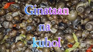 Exotic food,Ginataan kuhol #kuhol #ginataan #youtube #youtubeshort #youtuber #youtubechannel