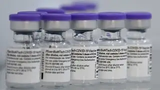 Which Vaccine Has the Highest Efficacy Against Delta?