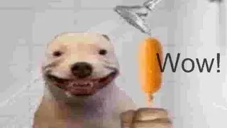 Memes in High Quality 144p