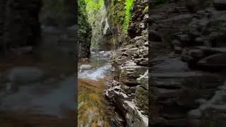 Beautiful river canyon in northern Minnesota. #adventure #travel #shorts #photographer