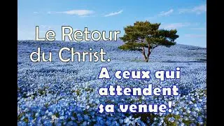 🇲🇫 04 mai 2022. Le Retour du Christ.  A ceux qui attendent sa venue. J.Damaceno
