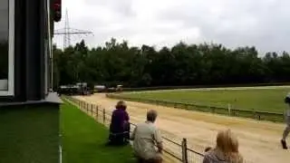 Jederhundrennen Gelsenkirchen (4)