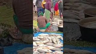 Magh Bihu Fish Bajar