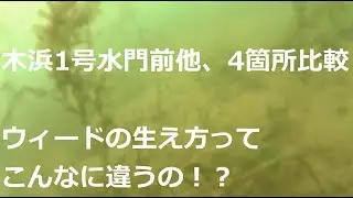 【衝撃ボトム変化】2020年春、木浜の釣人が見ないと損する水中動画