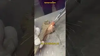 Самая бюджетная лазерная сварка