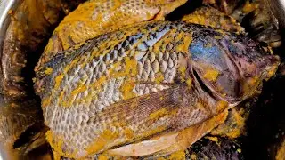 How to marinate fish with homemade spices #recipe #fish #food #viral #fyp 