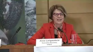 Media launch of IPBES Global Assessment Report