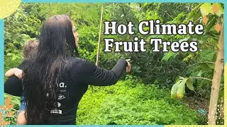 A Natural Farm Nursery Tour and More Hot Climate Fruit Trees