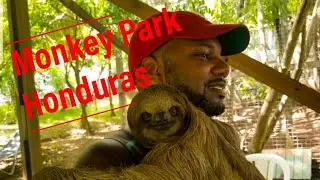 Monkey Park in Roatan - Honduras
