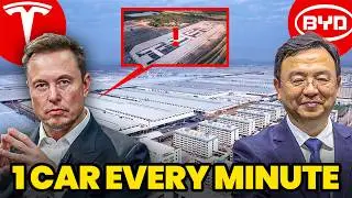 BYD Built a Megafactory 6&times; Bigger Than Tesla&rsquo;s