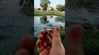 how far can i throw a rock pt 2
