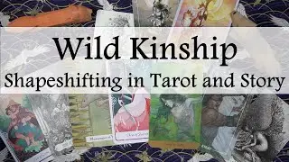 Shapeshifting in Tarot, Folklore and Storytelling | Finding Wild Kinship