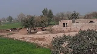 Jhang Village Beauty 2021| Jhang Punjab Magazine
