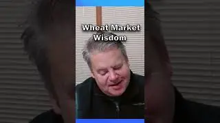 Grain trading pro shares some wheat market wisdom from his CBOT days. #commoditytrading #grainbins