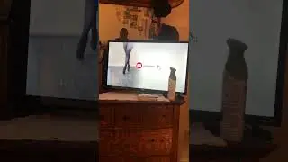 #lifeofleelee