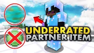 The most underrated Partner Item...