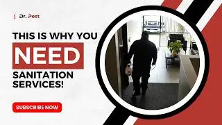 Why Pest Sanitation Services Are a Must for a Healthy Home or Business | Dr. Pest