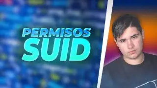 💡 ABUSANDO de PERMISOS SUID 💡 - Aussterben  | Escalada de Privilegios