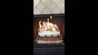 Real Fyre White Birch 18