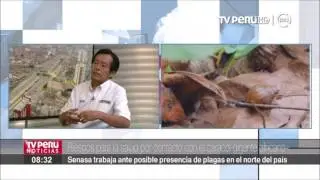 Conoce los riesgos para la salud por contacto con el caracol gigante africano