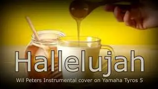 Hallelujah (Wil Peters Instrumental cover on Yamaha Tyros 5)