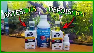 Como deixar o pH do Aquário ÁCIDO facilmente! - A Química do Aquarismo #1