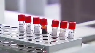 China on high alert over bird flu